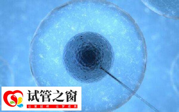 囊胚等级越高质量越好