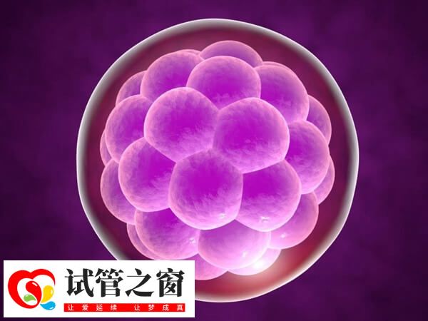 养囊成功率并非百分百