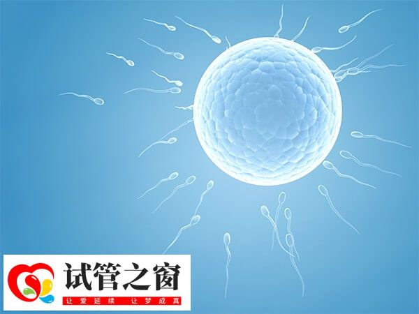 囊胚移植后出血要警惕宫外孕