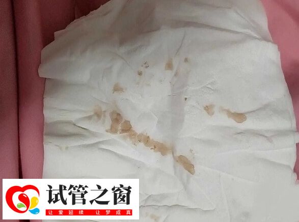 囊胚移植后出血要及时就医