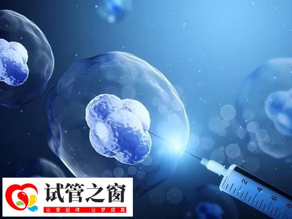 囊胚解冻后可能升级