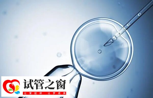 鲜胚指的是在体外3-5天内发育出来的胚胎