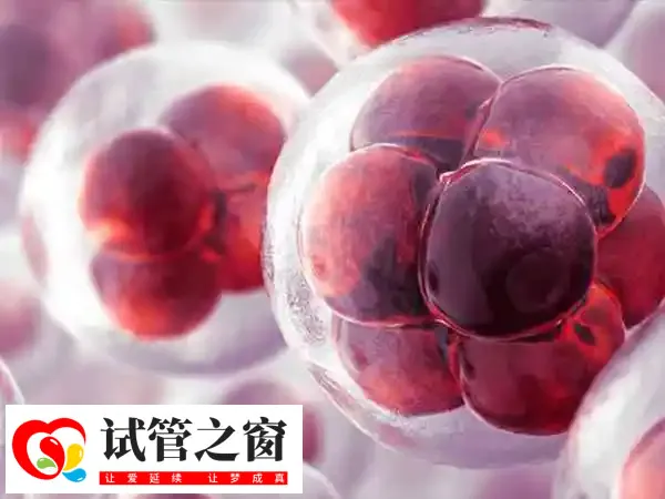 三代试管并不能保证100%的成功