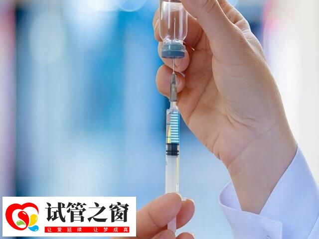激素替代周期仅生长内膜无需卵泡发育