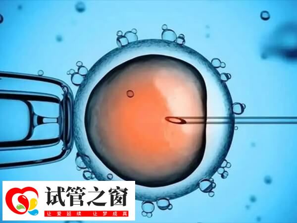 胚胎移植后发烧了可能会影响子代健康