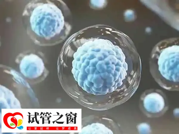 试管移植后感觉头疼首先要查明原因