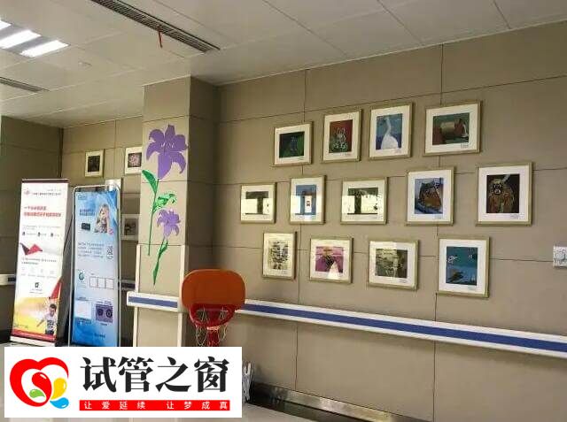 解放军第906医院试管成功率40%-56%