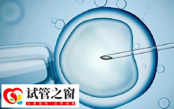 中信湘雅试管成功率高