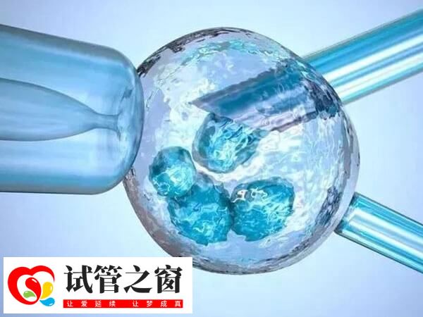 试管婴儿成功率不是百分百