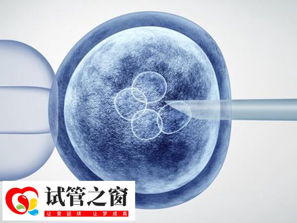 郑大一附医试管妊娠率稳定在50%