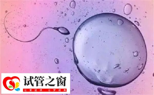 黄体期促排方案成功率还是不错的