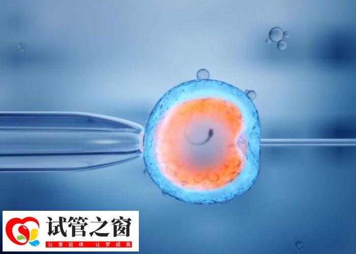 刘黎青擅长不孕症的诊断及治疗