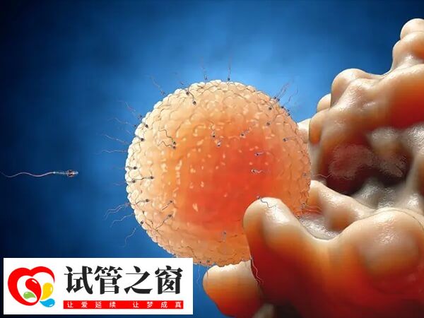 排卵障碍常被叫做不排卵