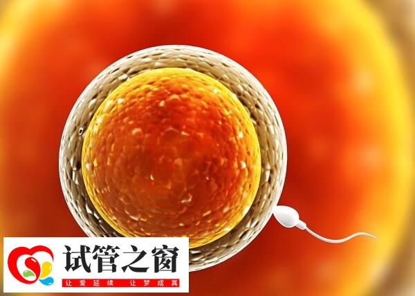 排卵障碍会影响女性受孕率