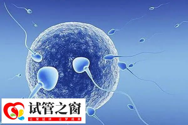 排卵障碍患者能做人工授精