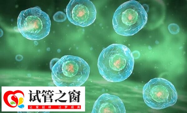 促排可诱使排卵障碍患者排卵