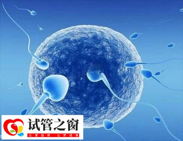 男性做人工授精有检查的必要