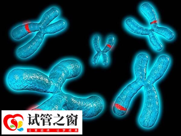 完全型T9指个体所有细胞9号染色体都增加一条
