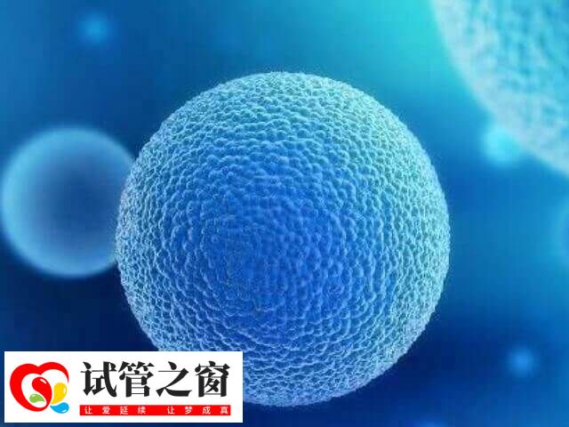 试管婴儿失败体内雌激素水平不会显着升高