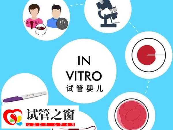 乌克兰做试管婴儿