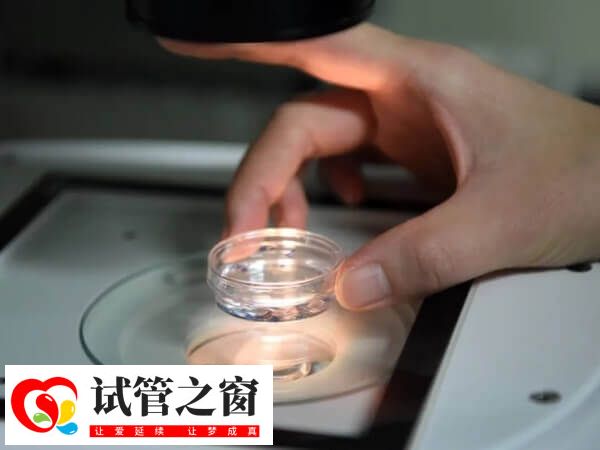 乌克兰做试管不需要三证