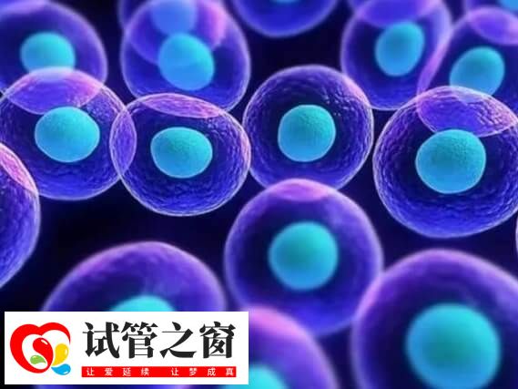 染色体数目或结构发生异常时称为染色体异常