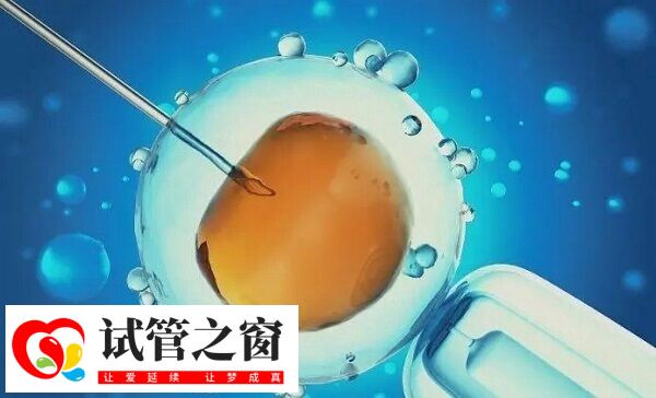 胎染色体异常会导致胎停或流产