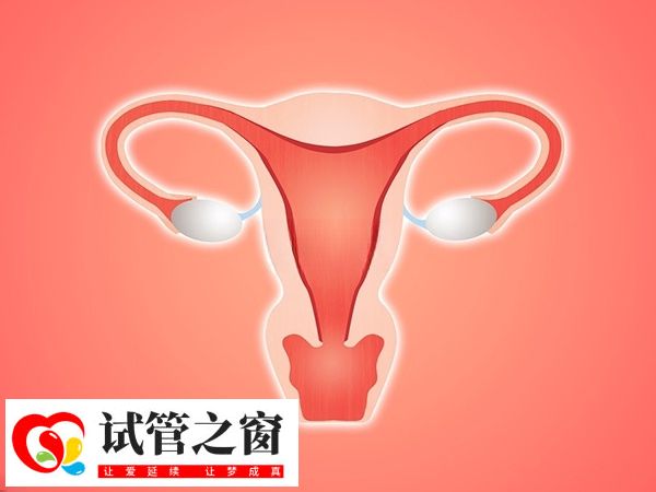 内膜厚度若是小于5mm表示降调成功