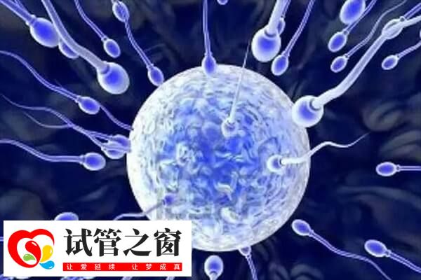 国内用精子库精子做试管有条件