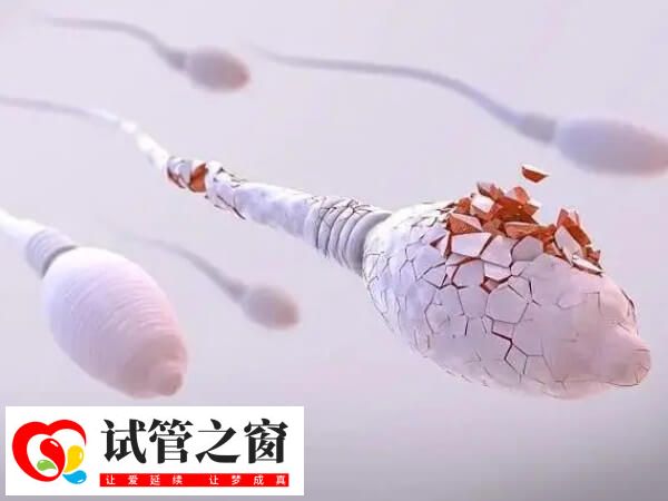红斑狼疮病情稳定可以做试管婴儿