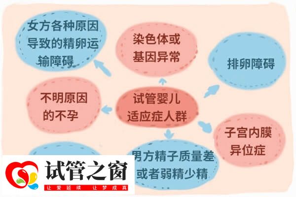 试管婴儿适应症