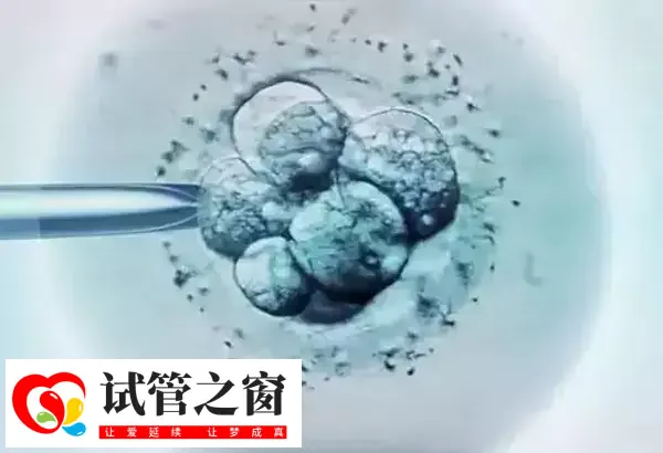 三代试管可排除掉携带疾病的胚胎
