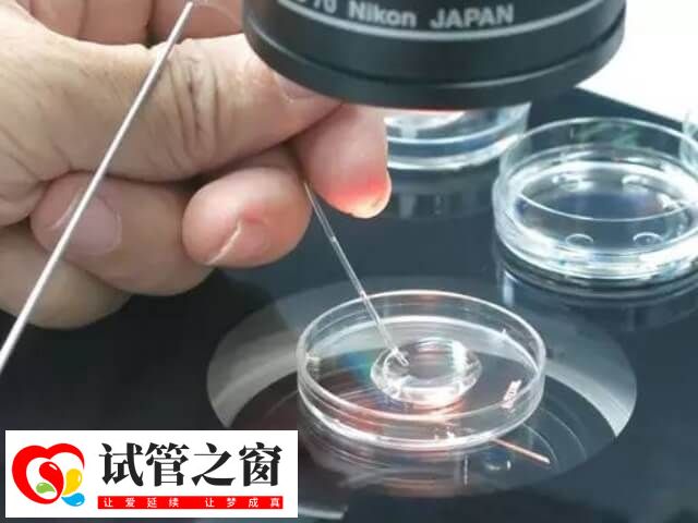国内做第三代试管的条件很严格