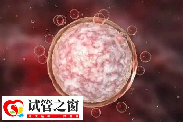 有多个大小<5mm的卵泡则达菲林降调成功