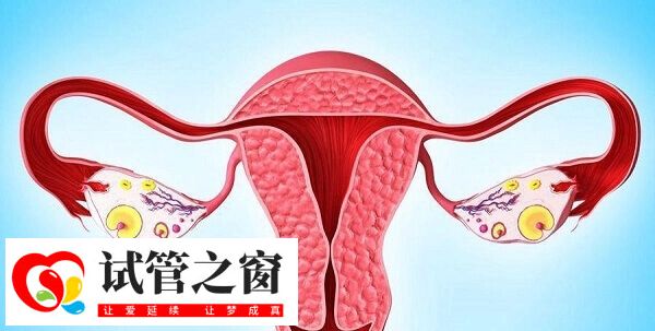 子宫内膜厚度是降调成功的一个标志