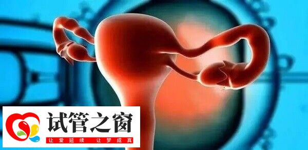 一般在达菲林停药1-3个月后才来月经