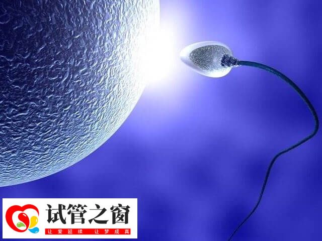 单身女性可去海外国家做试管生育孩子