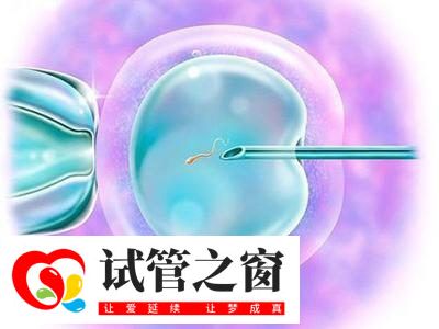 格鲁吉亚能做试管婴儿