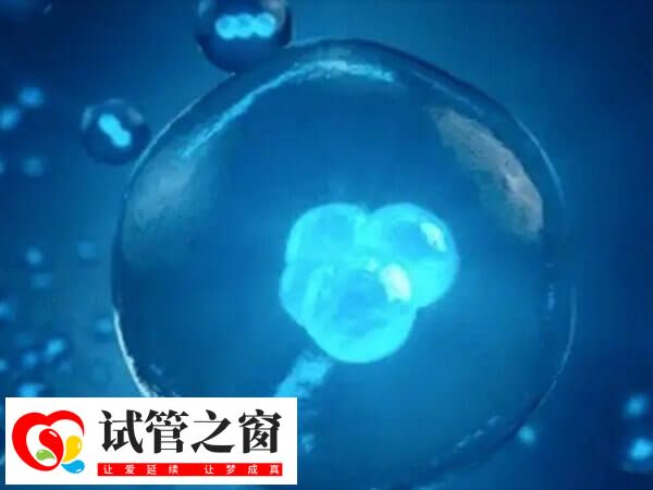 试管婴儿与自然受孕婴儿只区别于受孕方式