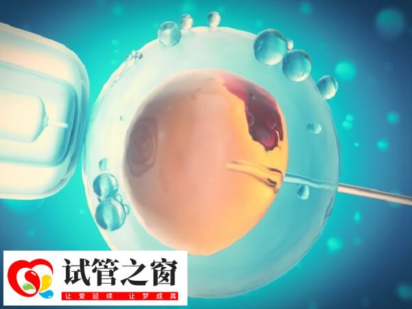 试管婴儿体质弱的说法缺乏科学依据