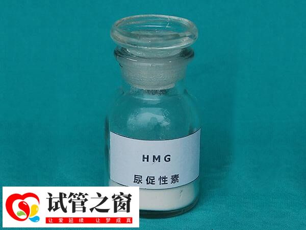 夜针主要成分是尿促性素和绒促性素