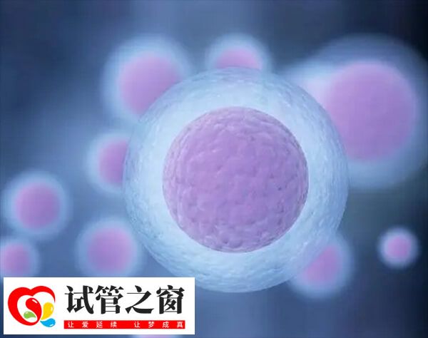 长方案本身不会直接导致卵泡长得慢