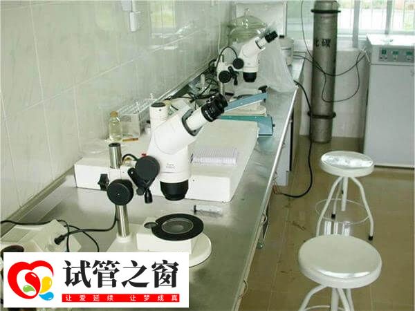 3个D3的优质一级胚胎养囊全部失败了是什么原因?(图1) 一级胚胎养囊失败可能与实验环境有关