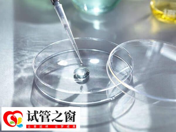 养囊成功移植是不是一定会成功(图1) 养囊通常是指第三天的胚胎继续体外培养