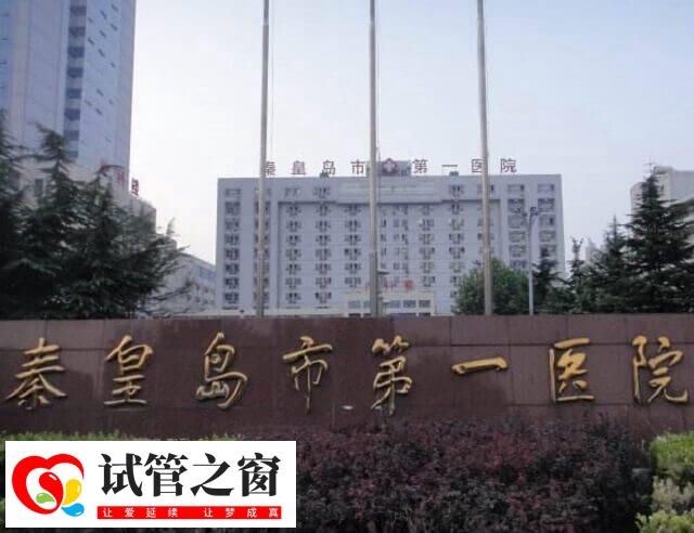 秦皇岛市第一医院试管婴儿费用多少(图1) 秦皇岛市第一医院