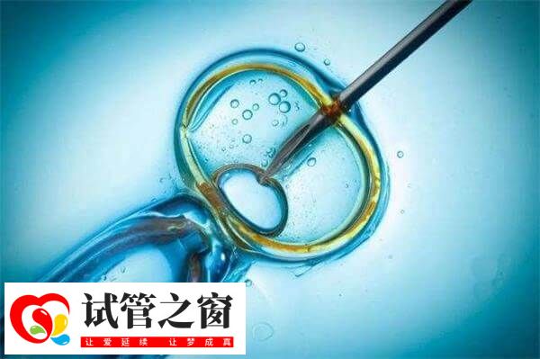 微刺激方案的成功率因人而异