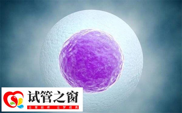 5bb级别的囊胚冷冻后成功率怎么样?会变得更高吗?(图1) 5bb囊胚冷冻后的成功率很高