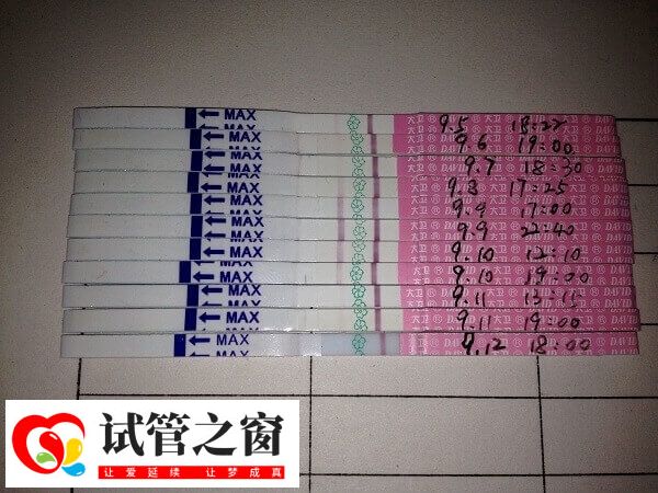 试管前监测排卵是根据科学时间表来检测的