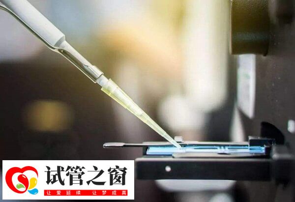 HCG正常水平因人而异