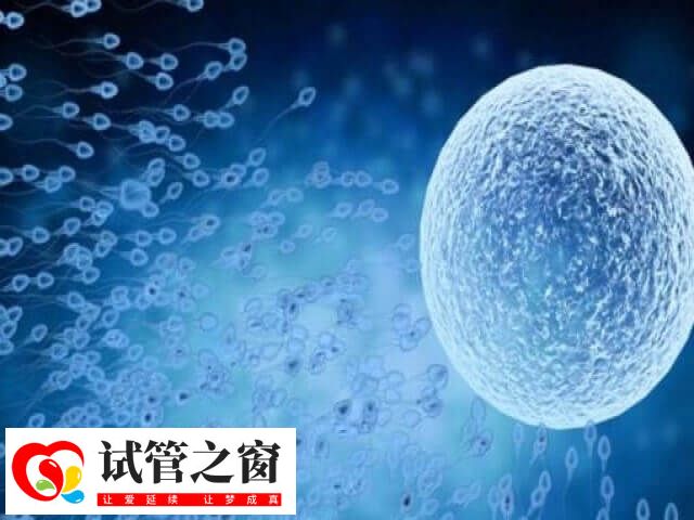 鲜胚移植前要进行身体检查